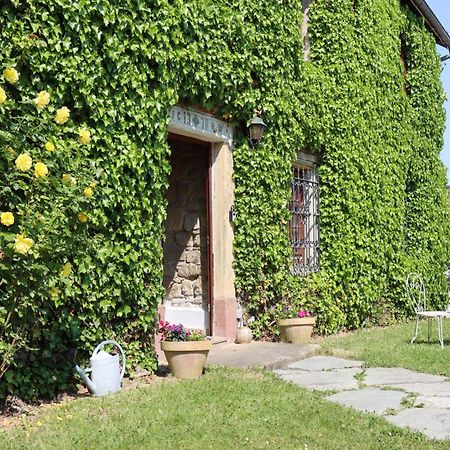 Maison De Charme "Le Moulin D'Hagenthal" - Chambre Romantique Daire Dış mekan fotoğraf